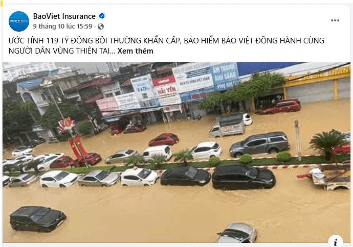 Bảo hiểm Emily, Bảo hiểm ô tô, Bảo hiểm thân vỏ ô tô, Emily xevaban, Bảo hiểm bắt buộc, Mua bảo hiểm ô tô, tư vấn bảo hiểm miễn phí, Bảo hiểm Bảo Việt, Giá bảo hiểm ô tô